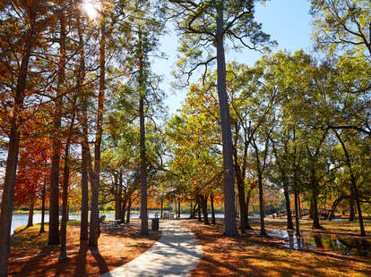 Houston Hermann Park