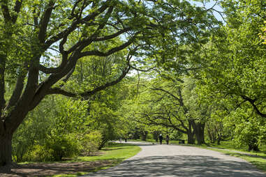 Arnold Arboretum in Jamaica Plain