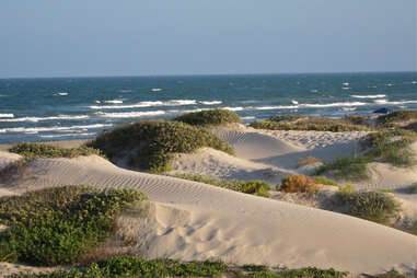 Padre Island