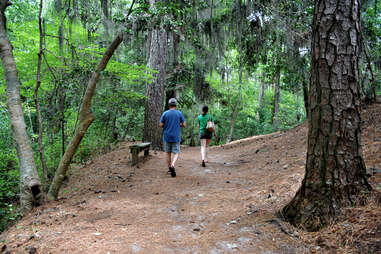 Hiking in the forest, First Landing State Park, Virginia Beach, VA