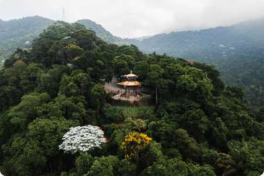 Vista Chinesa rio de janeiro