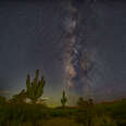 Low angle view of trees against sky at night, Pinal County, Arizona